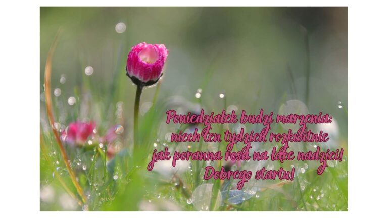 pozdrowienia na poniedziałek